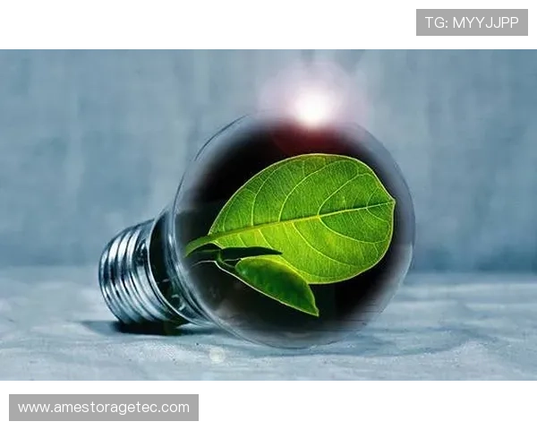 环保企业家引领绿色未来探索可持续发展新模式推动生态文明建设新机遇